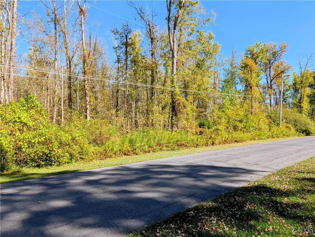 9553 Horseshoe Island