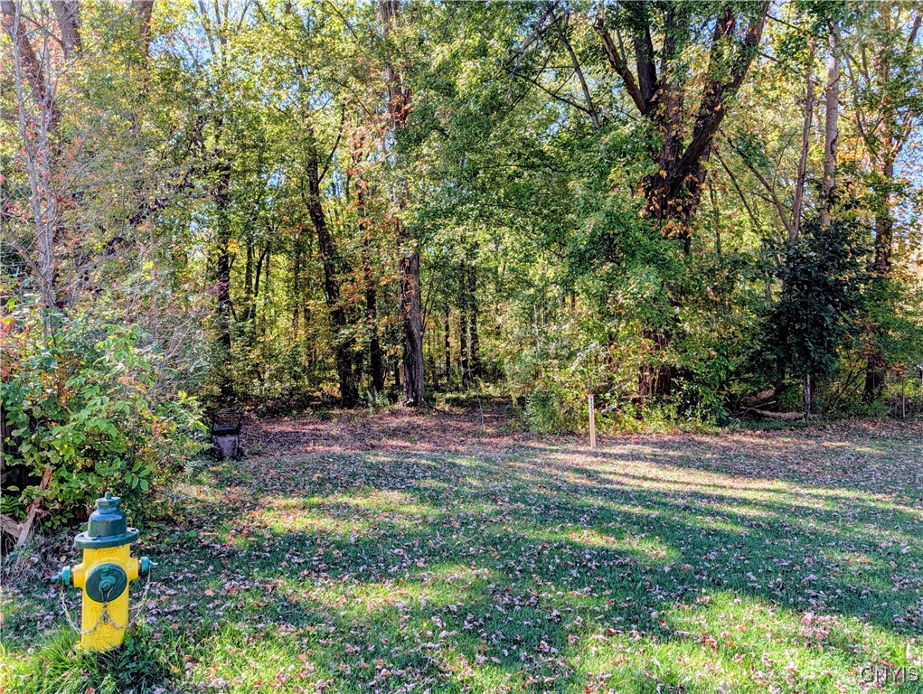 9553 Horseshoe Island