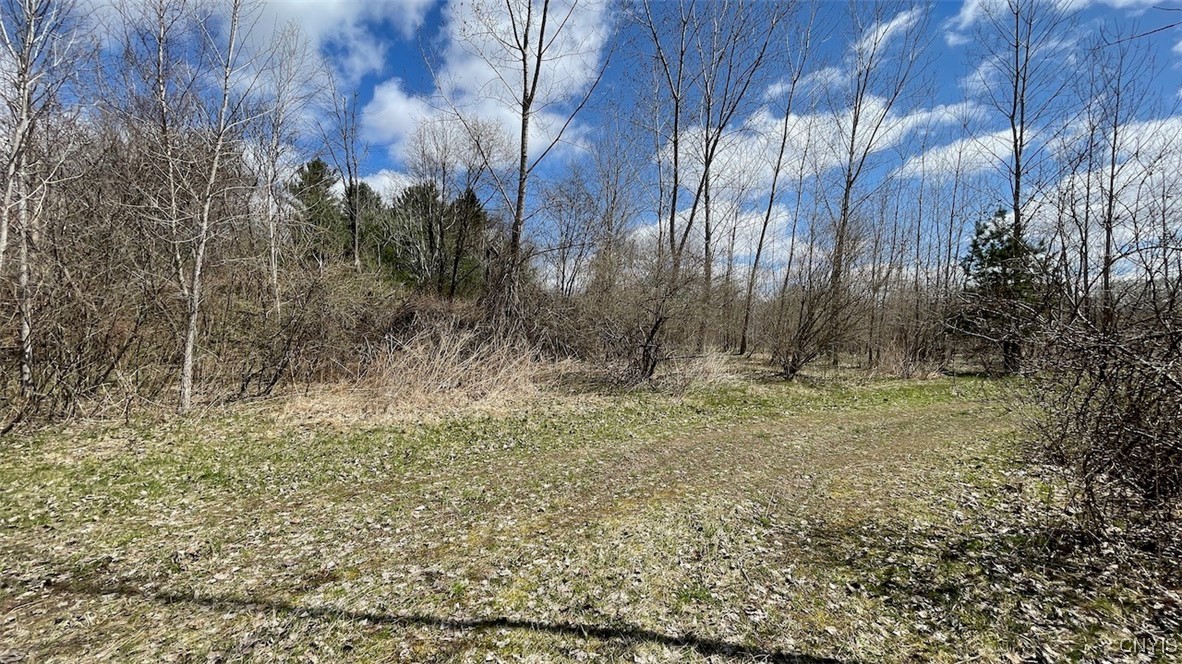 97 Oswego River Road