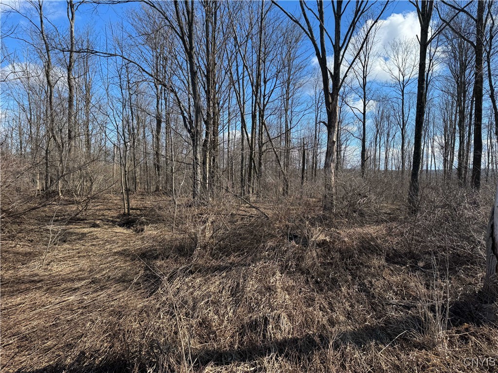 Post Road, Ripley, New York image 19