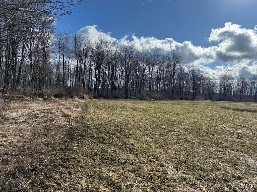 Post Road, Ripley, New York image 7