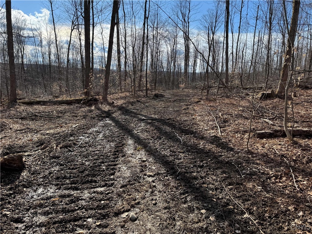 Post Road, Ripley, New York image 17