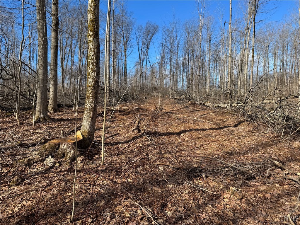 Post Road, Ripley, New York image 18
