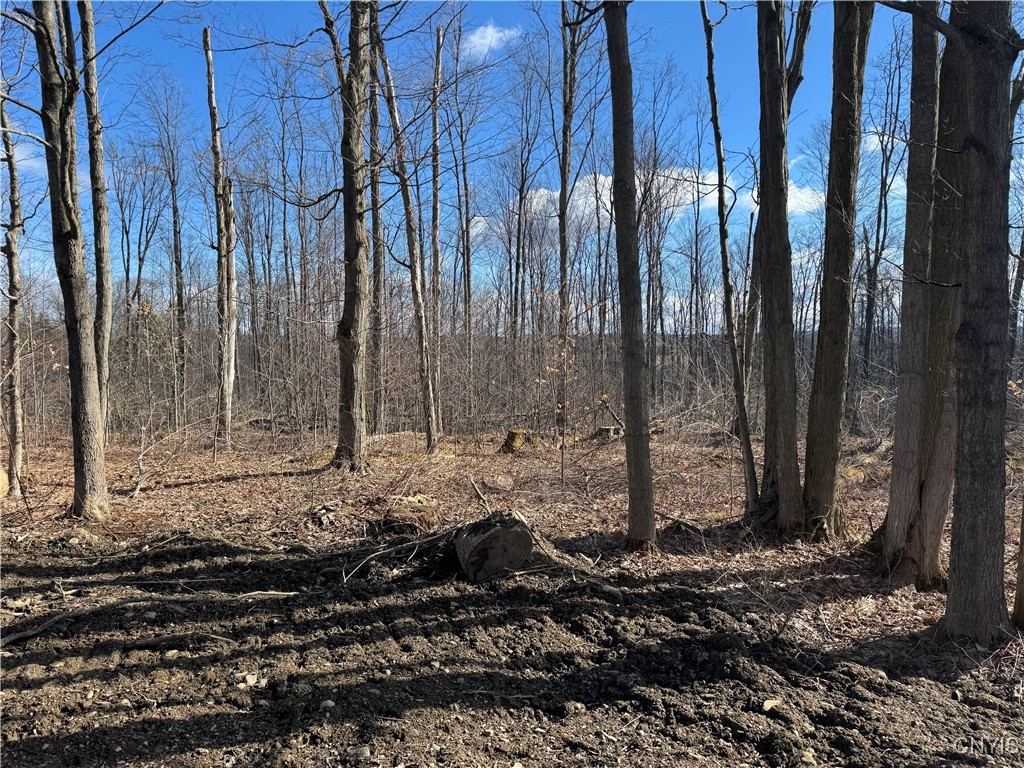 Post Road, Ripley, New York image 21