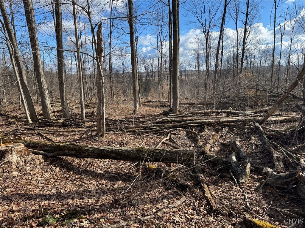 Post Road, Ripley, New York image 15