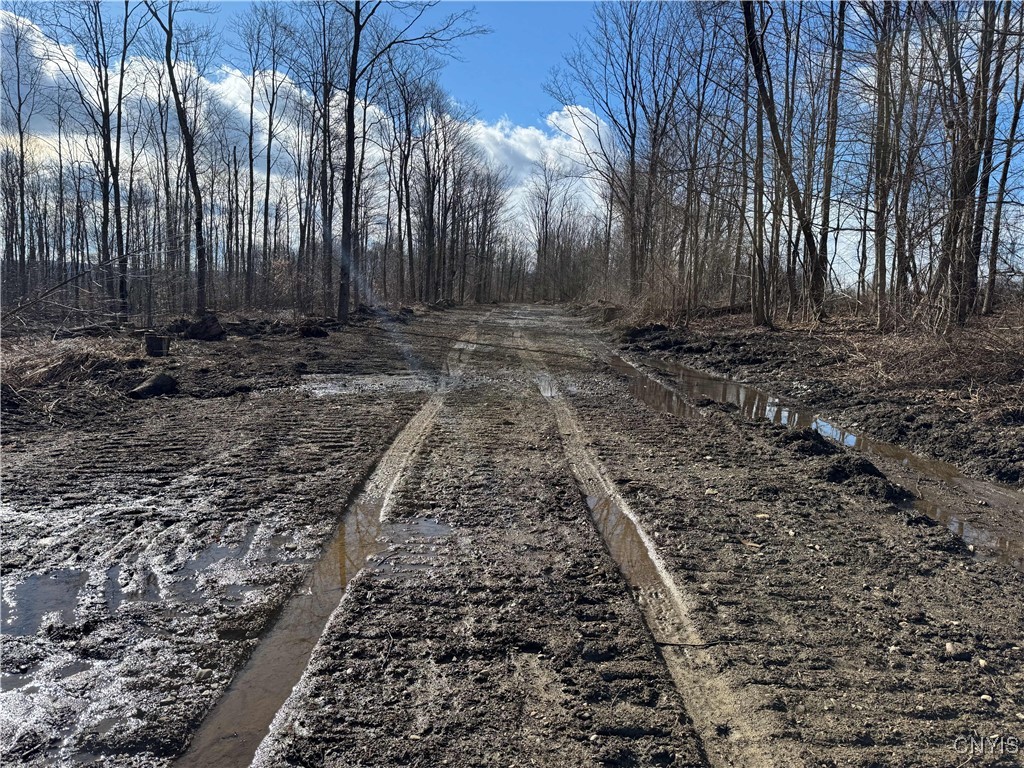 Post Road, Ripley, New York image 12