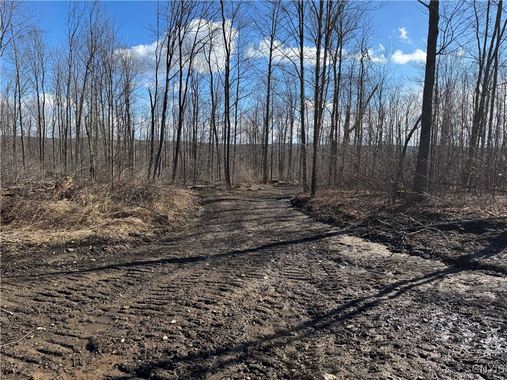 Post Road, Ripley, New York image 20