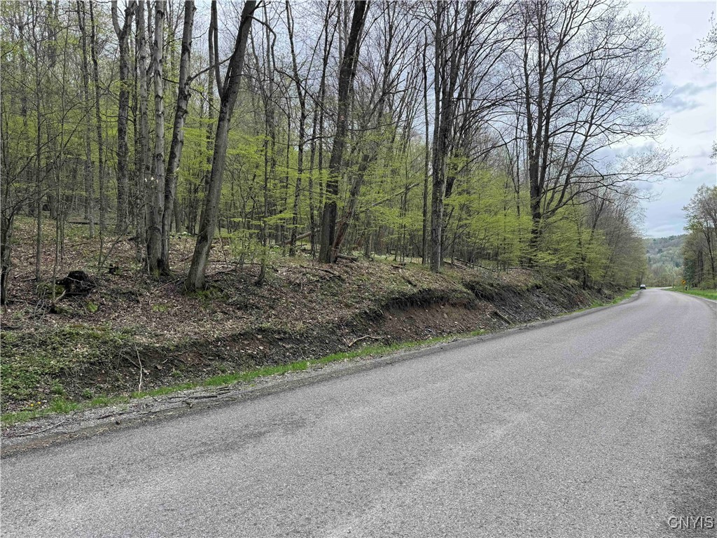 Kansas Hollow Road, Bolivar, New York image 33