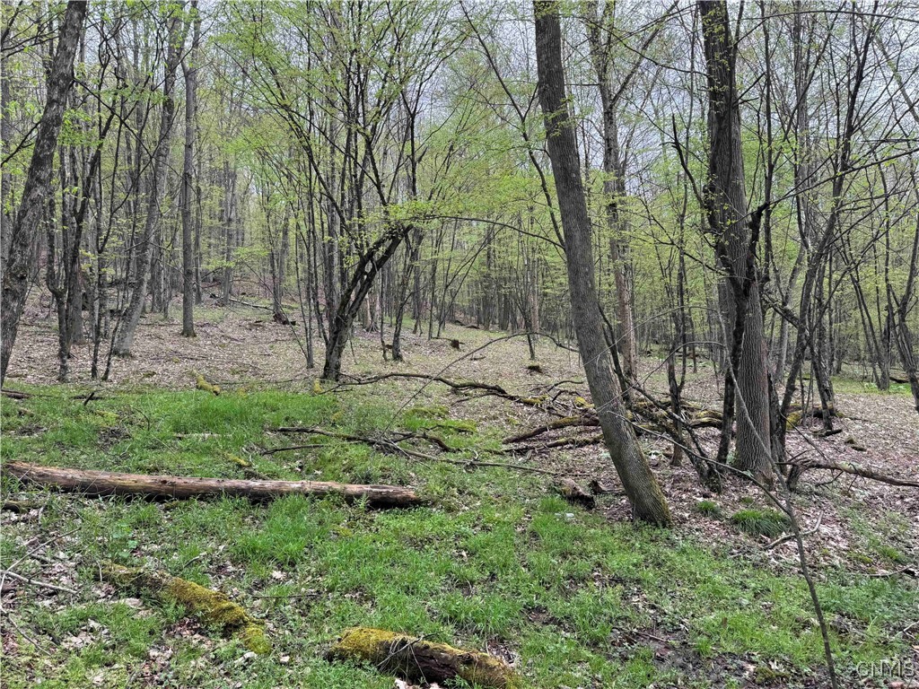 Kansas Hollow Road, Bolivar, New York image 32
