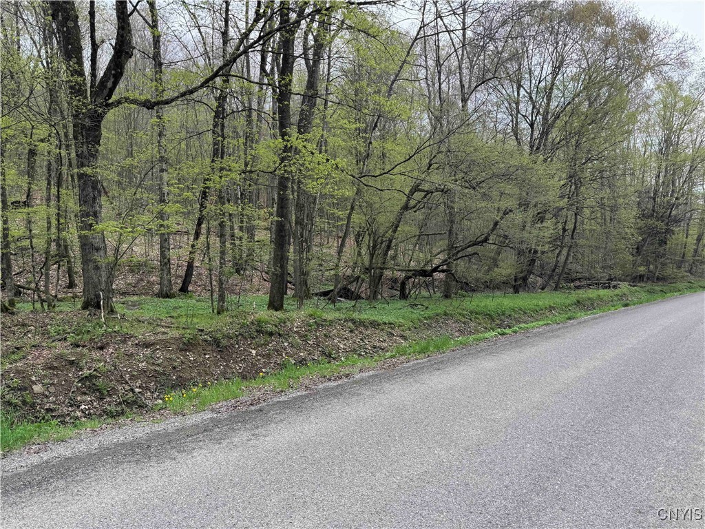 Kansas Hollow Road, Bolivar, New York image 34