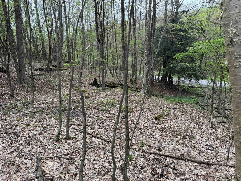 Kansas Hollow Road, Bolivar, New York image 29