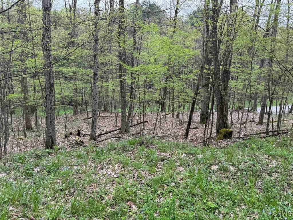 Kansas Hollow Road, Bolivar, New York image 7