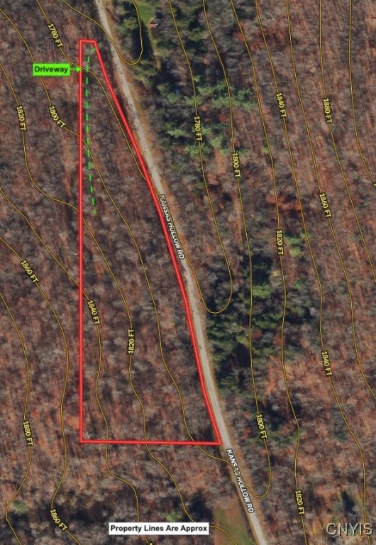 Kansas Hollow Road, Bolivar, New York image 2
