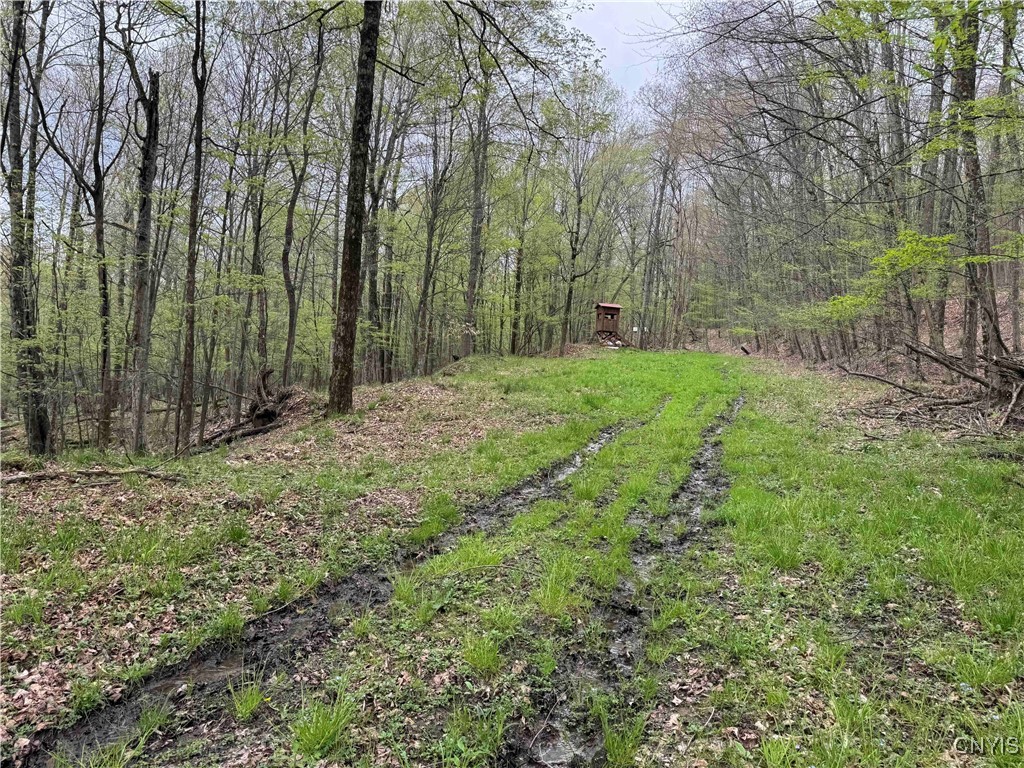 Kansas Hollow Road, Bolivar, New York image 9