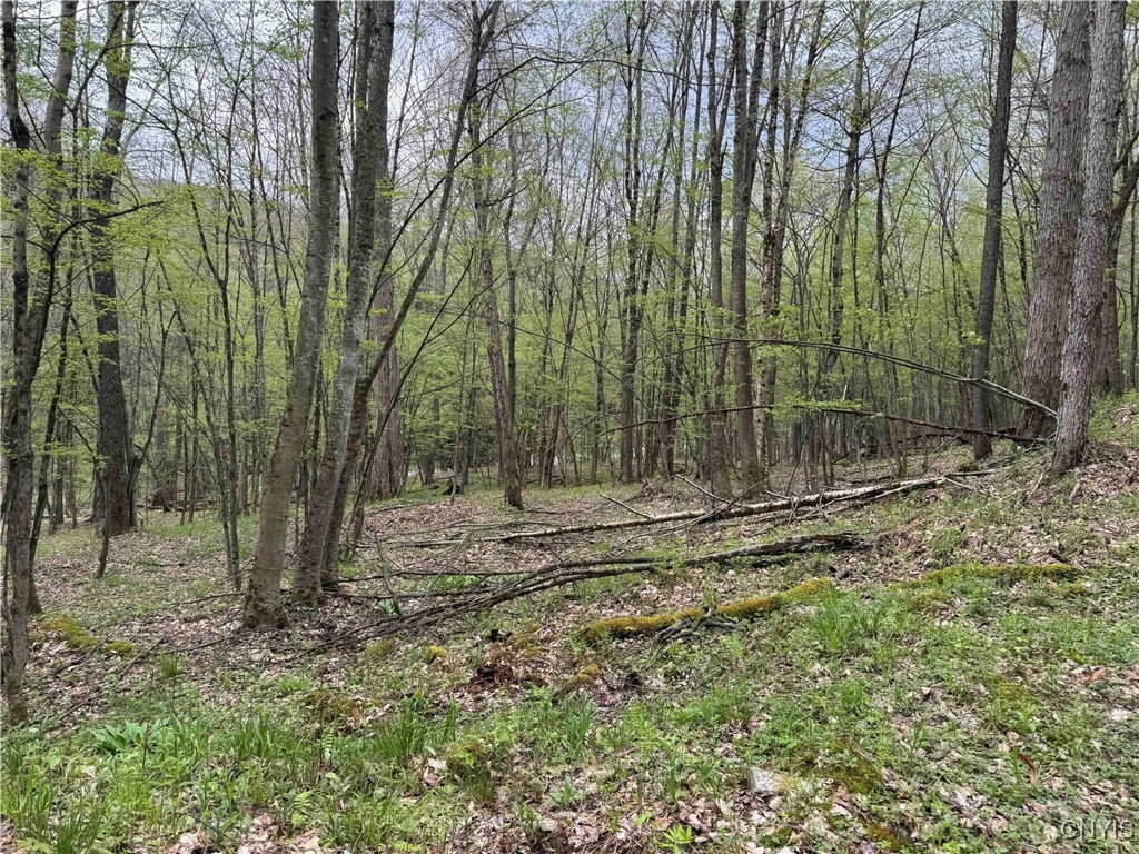 Kansas Hollow Road, Bolivar, New York image 17