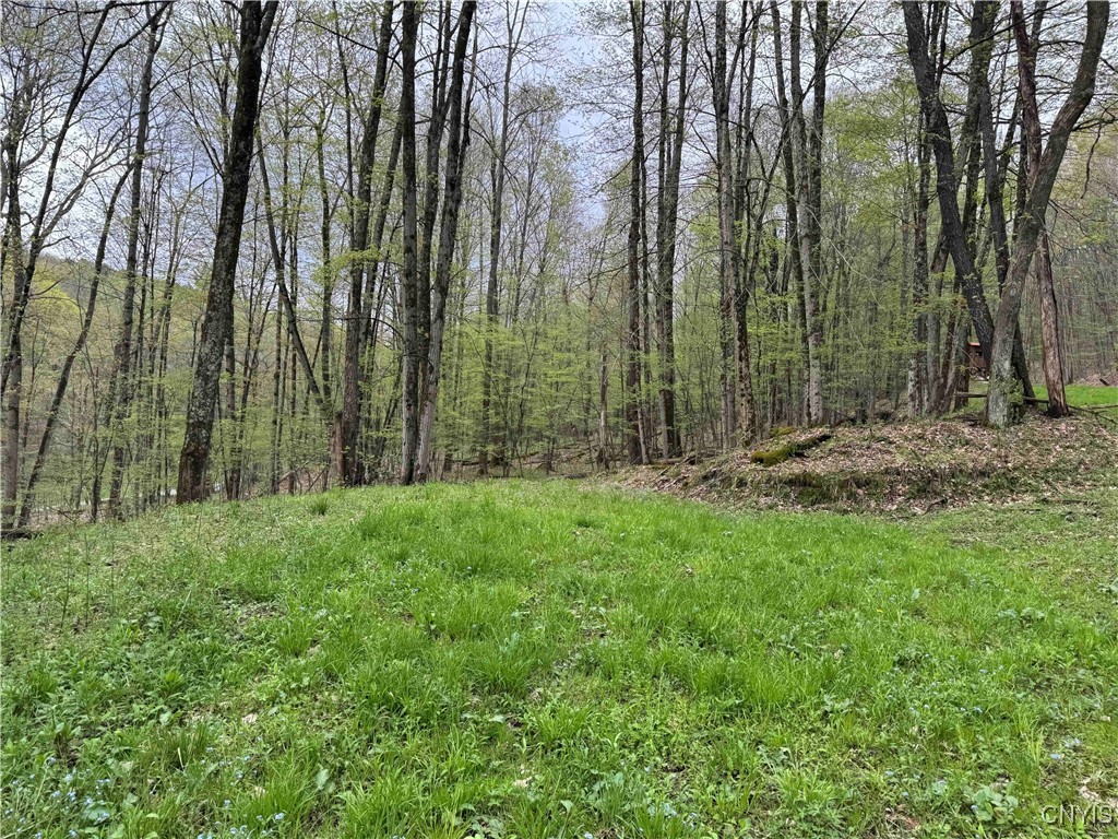 Kansas Hollow Road, Bolivar, New York image 8