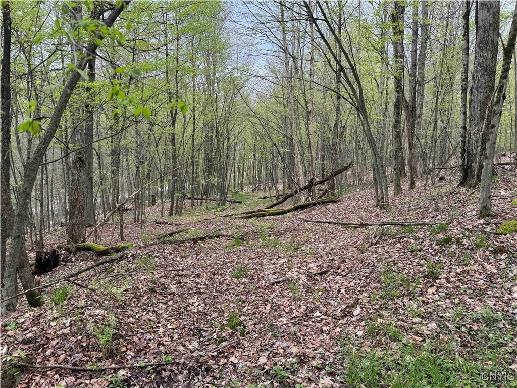 Kansas Hollow Road, Bolivar, New York image 21