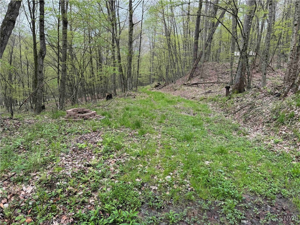 Kansas Hollow Road, Bolivar, New York image 12