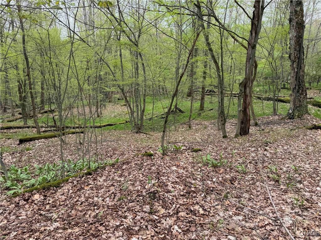 Kansas Hollow Road, Bolivar, New York image 25