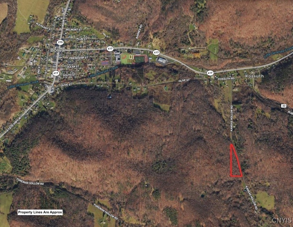 Kansas Hollow Road, Bolivar, New York image 3