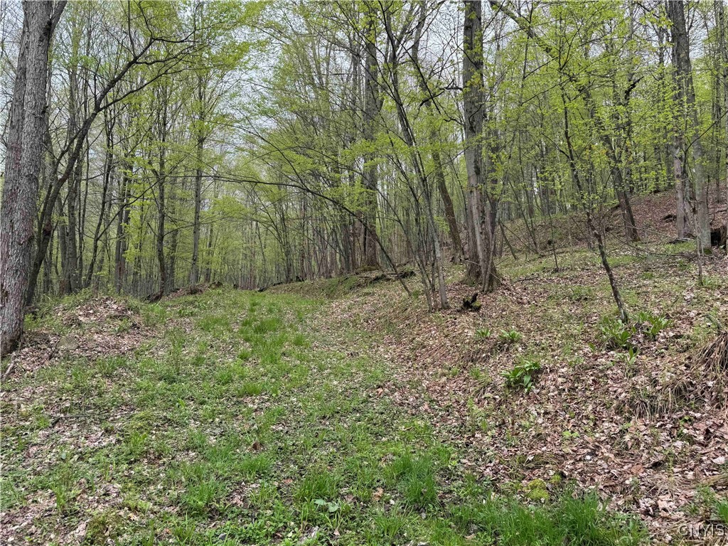 Kansas Hollow Road, Bolivar, New York image 18
