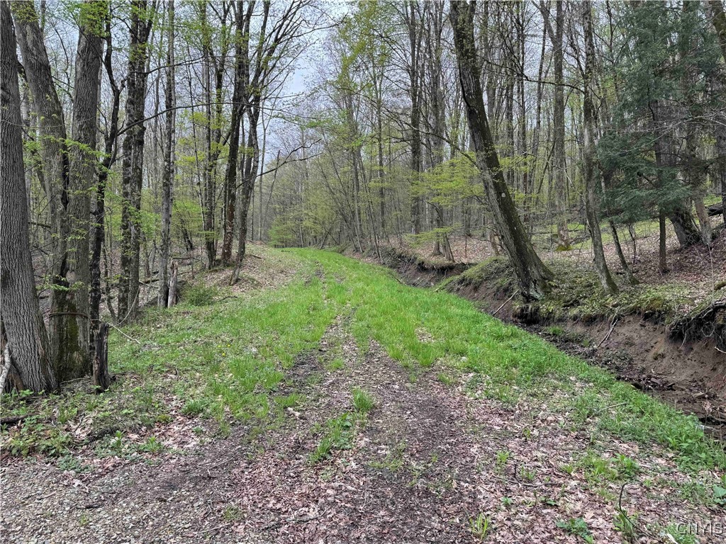 Kansas Hollow Road, Bolivar, New York image 1