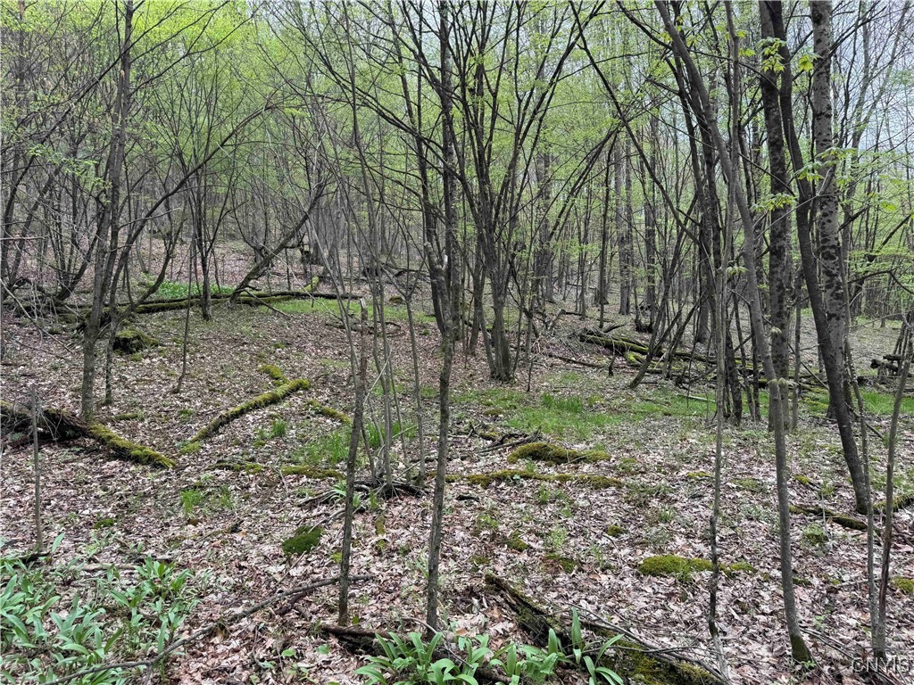 Kansas Hollow Road, Bolivar, New York image 31