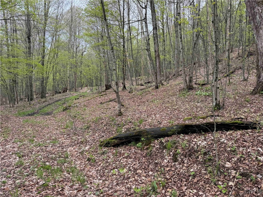 Kansas Hollow Road, Bolivar, New York image 20