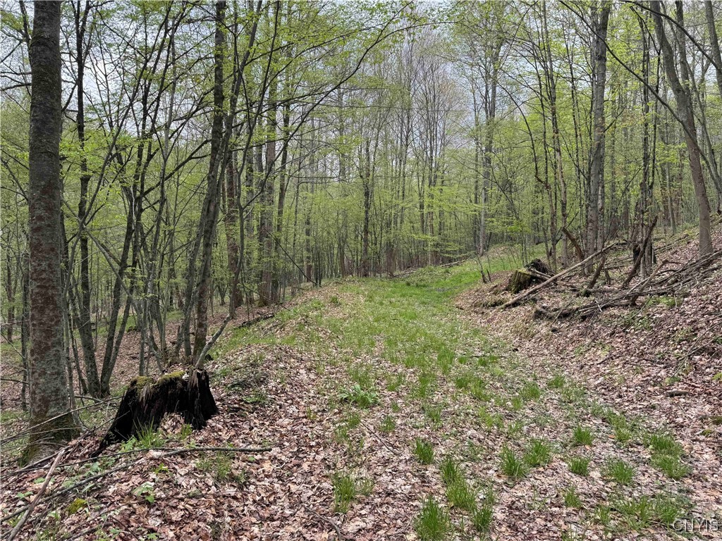 Kansas Hollow Road, Bolivar, New York image 15