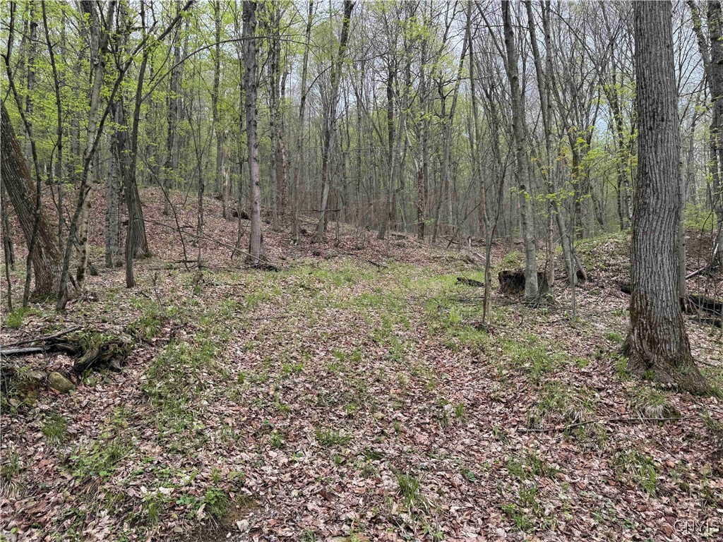 Kansas Hollow Road, Bolivar, New York image 19