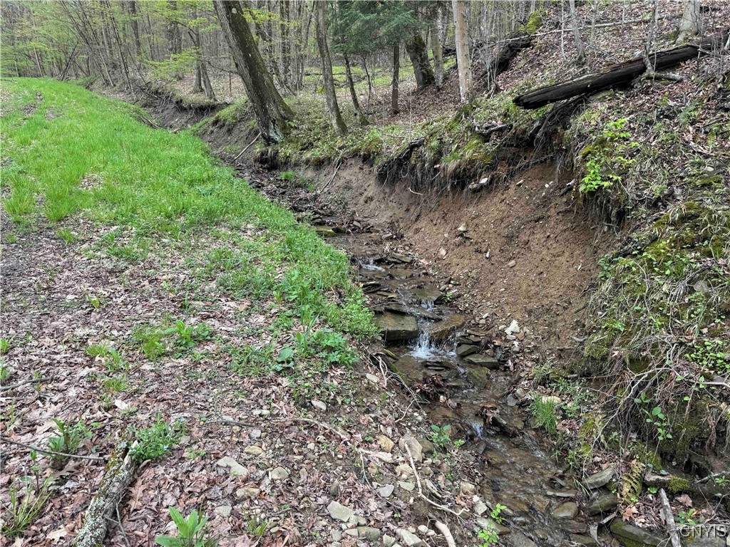 Kansas Hollow Road, Bolivar, New York image 5
