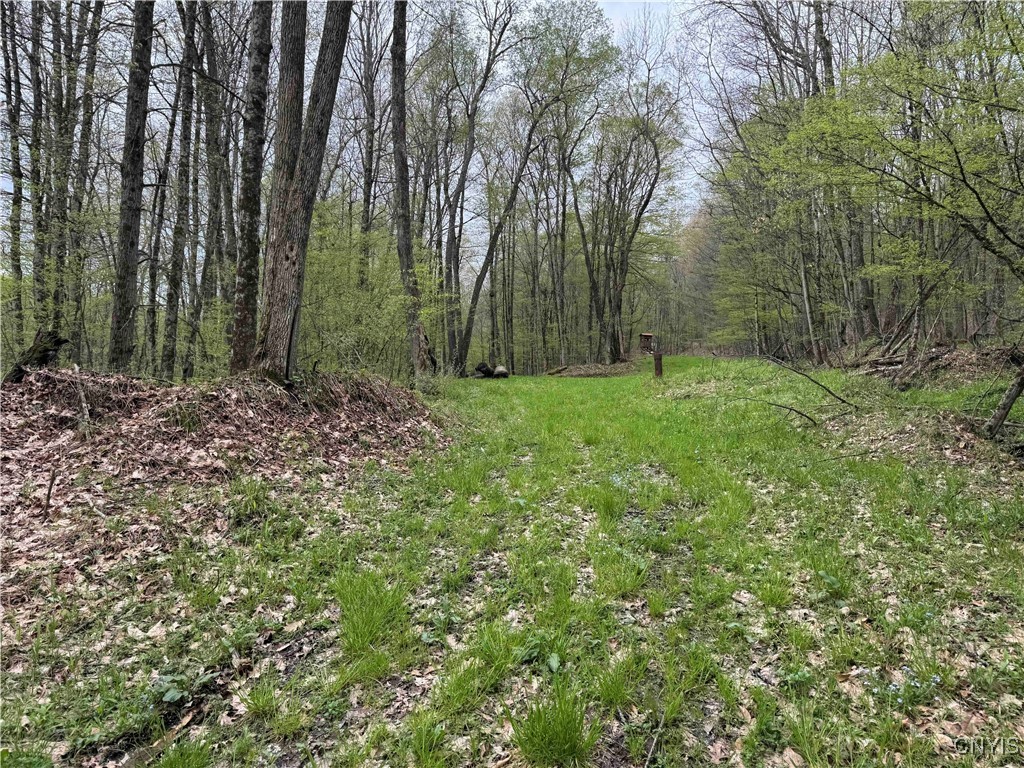 Kansas Hollow Road, Bolivar, New York image 4