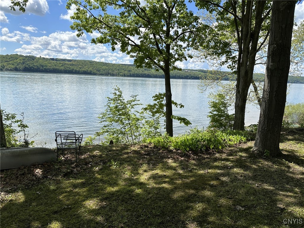 388 Dolphin Point Lane, Niles, New York image 6