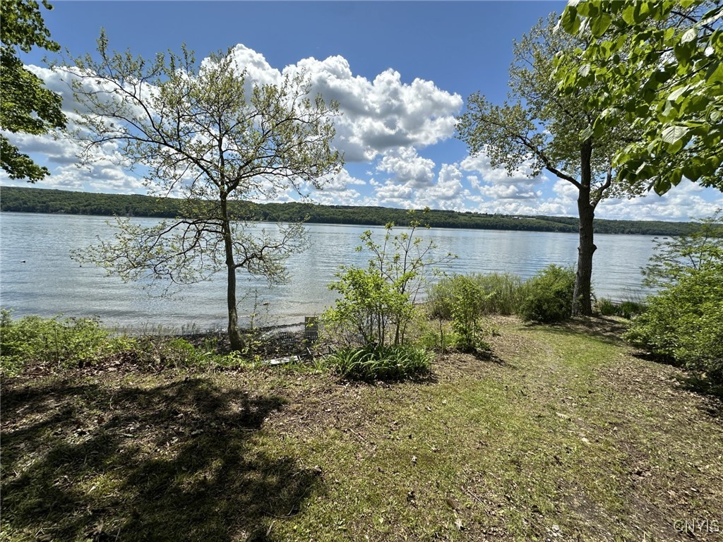 388 Dolphin Point Lane, Niles, New York image 7
