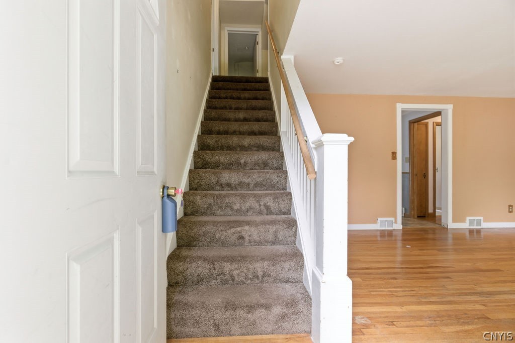 317 Vanida Drive