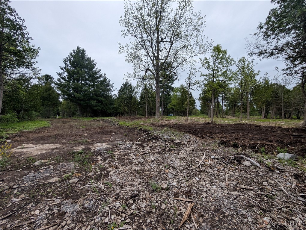 16744 LOT 2A Thompson Trail Drive, Brownville, New York image 12