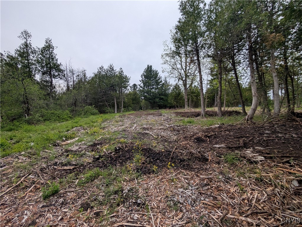 16744 LOT 2A Thompson Trail Drive, Brownville, New York image 13