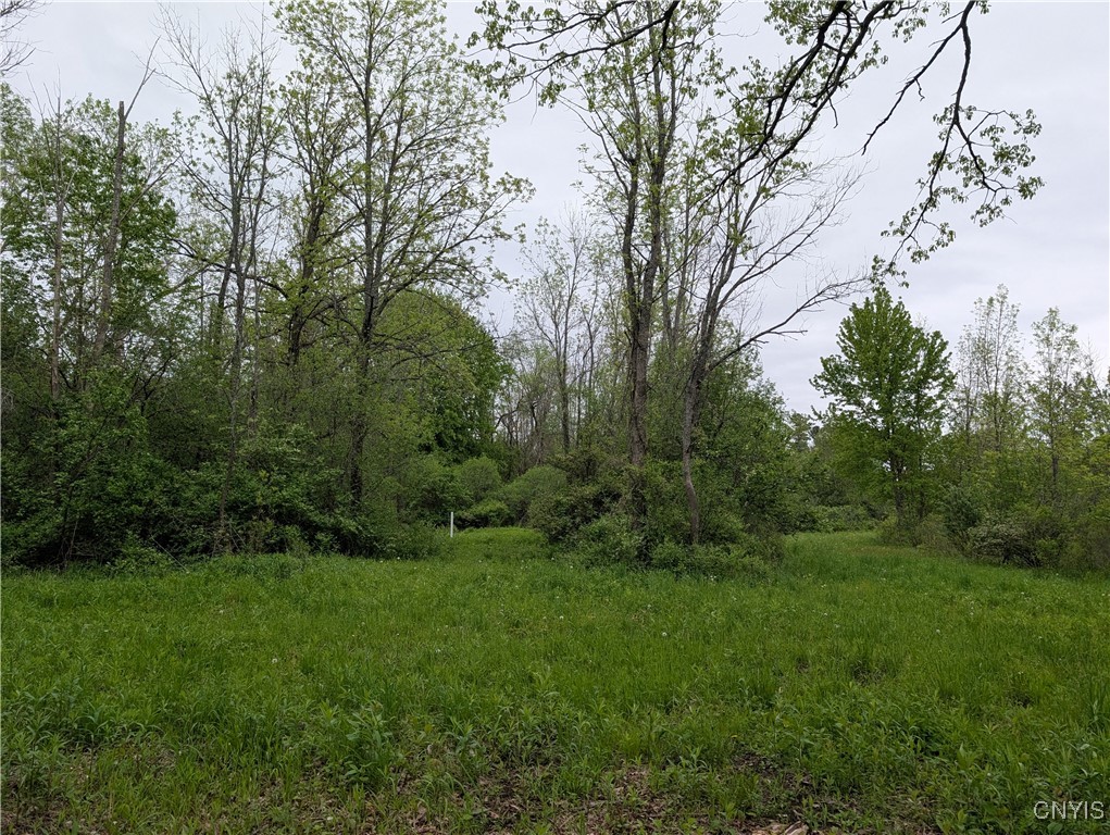 16744 LOT 2A Thompson Trail Drive, Brownville, New York image 14