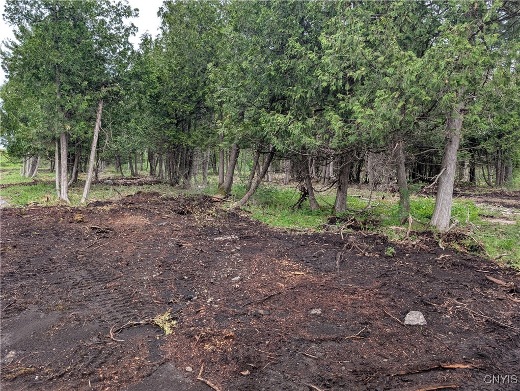 16744 LOT 2A Thompson Trail Drive, Brownville, New York image 23