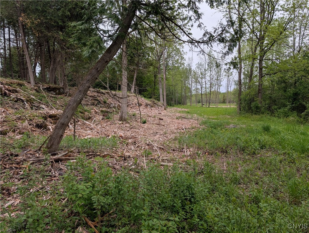 16744 LOT 2A Thompson Trail Drive, Brownville, New York image 15