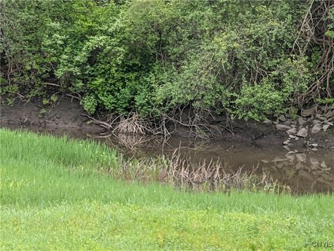 16744 LOT 2A Thompson Trail Drive Dexter NY 13634
