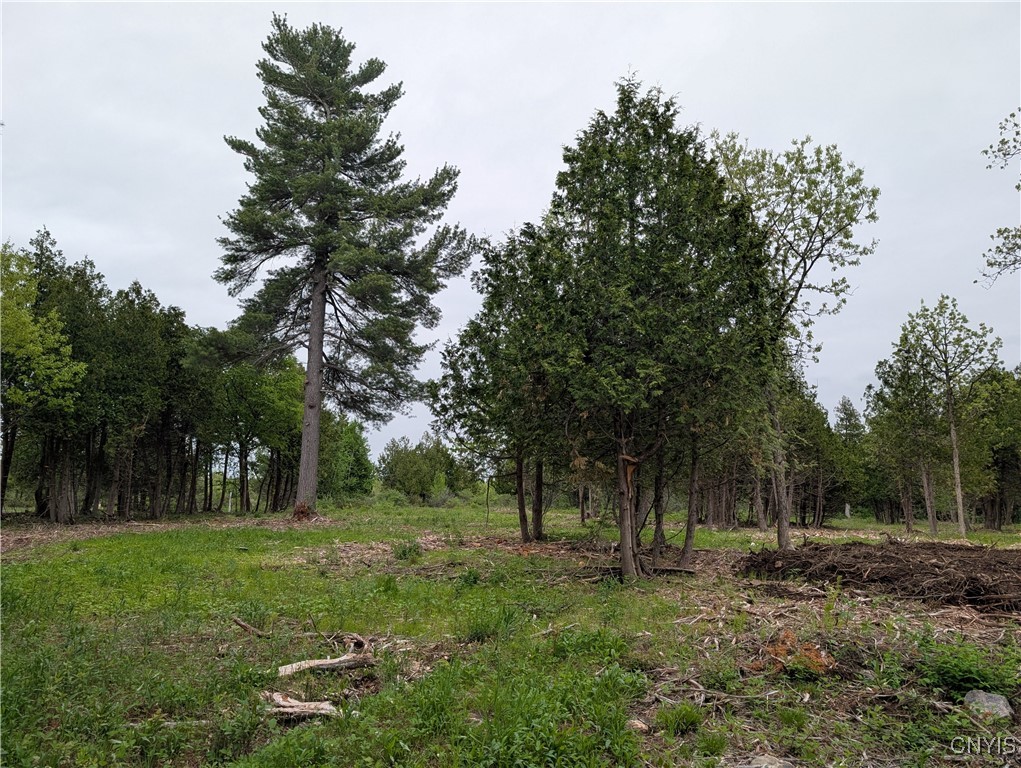 16744 LOT 2A Thompson Trail Drive, Brownville, New York image 19