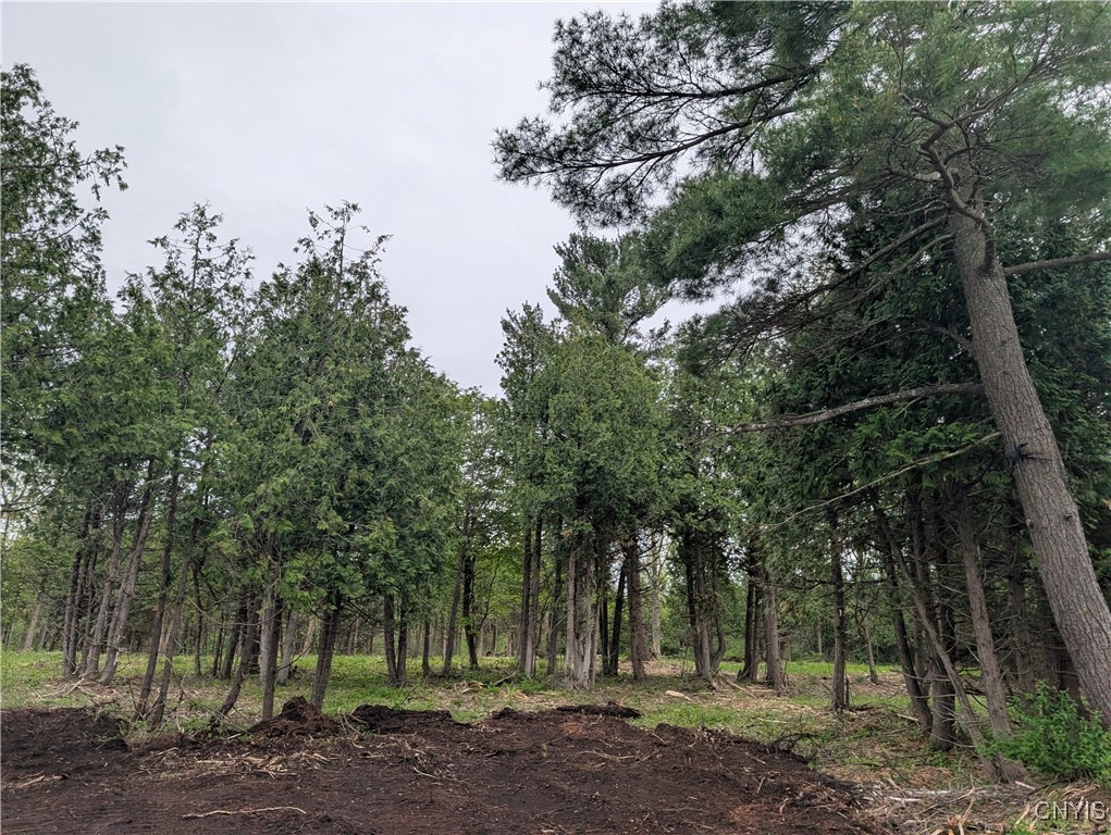 16744 LOT 2A Thompson Trail Drive, Brownville, New York image 20