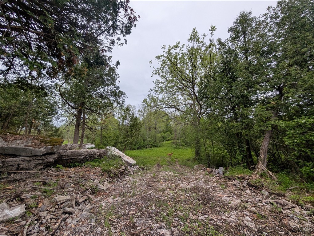 16744 LOT 2A Thompson Trail Drive, Brownville, New York image 17