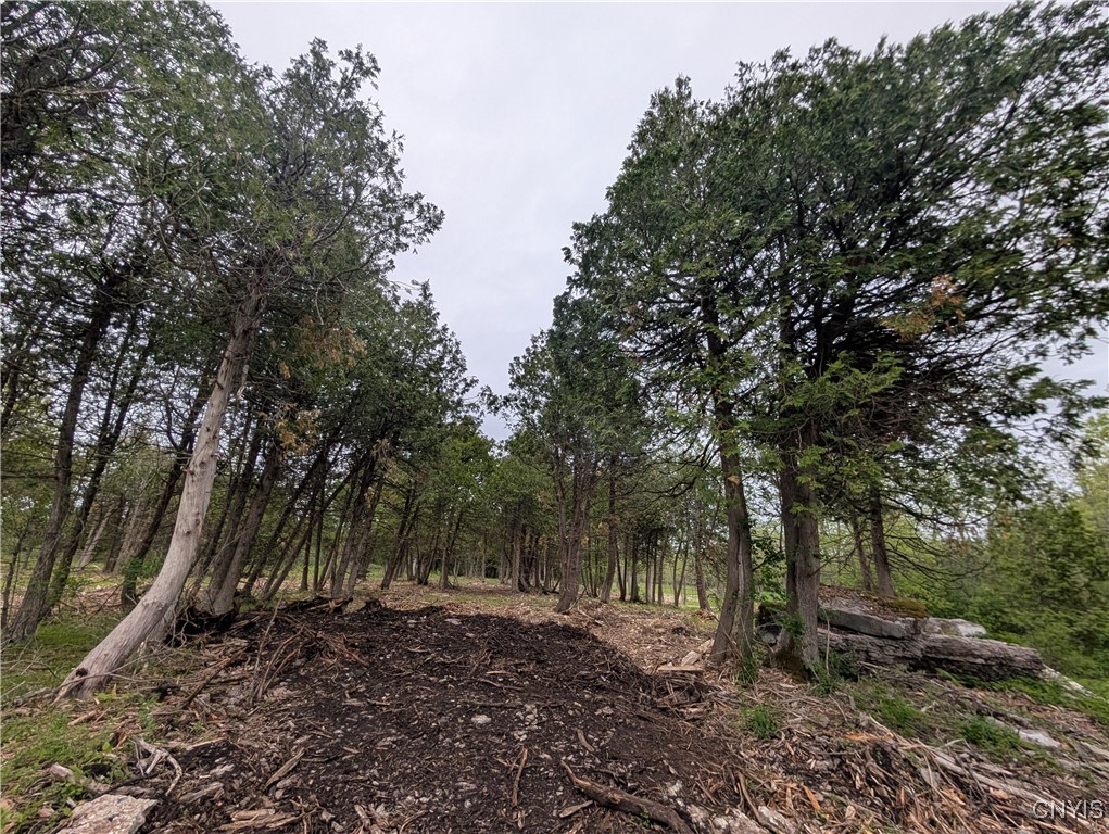 16744 LOT 2A Thompson Trail Drive, Brownville, New York image 18