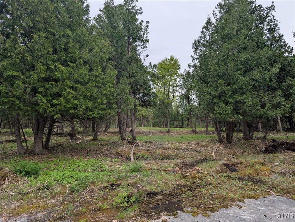 16744 LOT 2A Thompson Trail Drive, Brownville, New York image 22