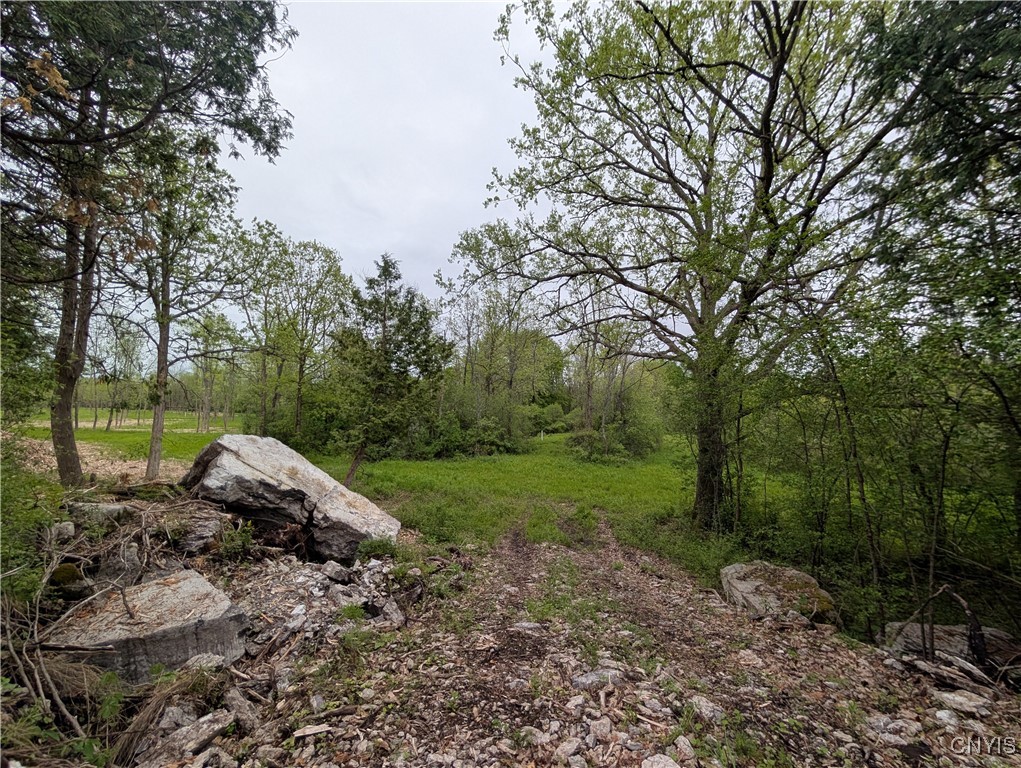 16744 LOT 2A Thompson Trail Drive, Brownville, New York image 16