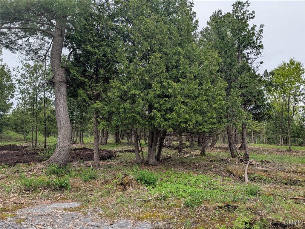 16744 LOT 2A Thompson Trail Drive, Brownville, New York image 21