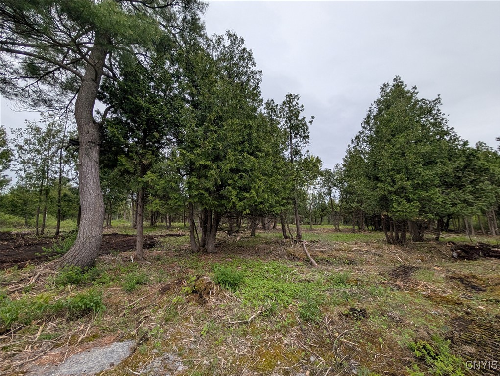 16744 LOT 2A Thompson Trail Drive, Brownville, New York image 11