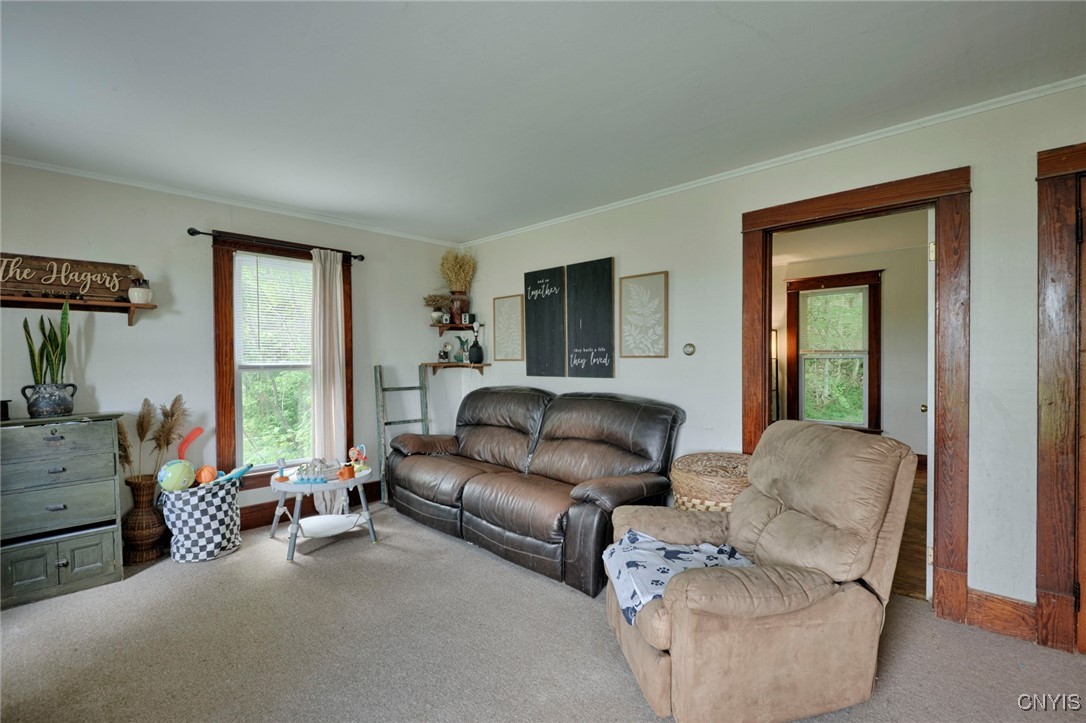 17705 County Route 11, Clayton, New York image 19